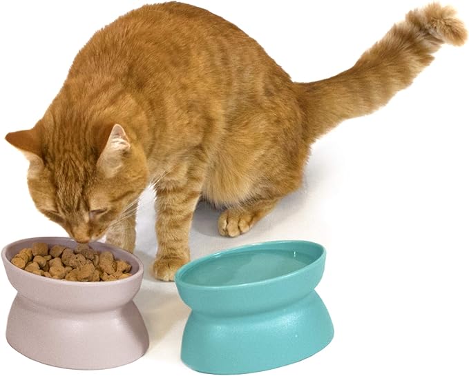 Kitty City Elevated Cat Bowls, Whisker-Friendly Raised Cat Food & Water Dishes - Image 5