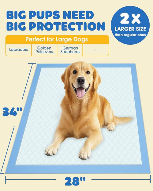 100-Pack Extra Large Pee Pads - Image 2
