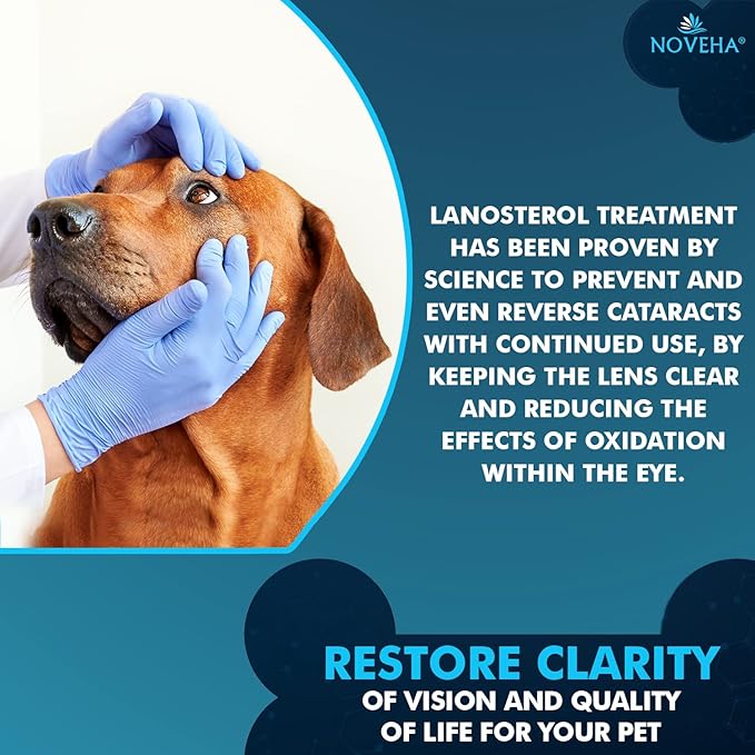 NOVEHA Pet Drops | Advanced Lanosterol Solution + NAC - Image 7