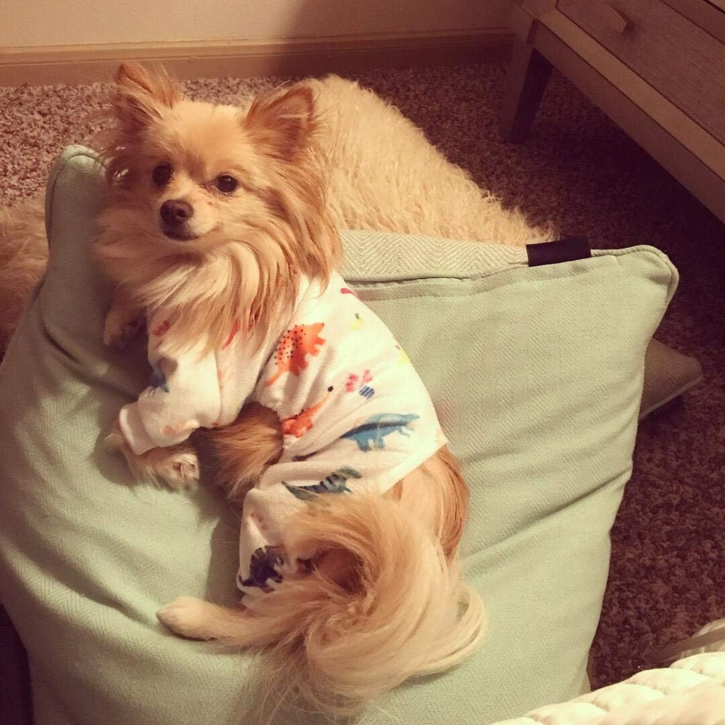 CuteBone Dog Halloween Pajamas Puppy Onesies Small Dogs Soft Pjs Coat Cat Apparel Comfy Pet Christmas Clothes Outfit Doggie Bodysuit PJD02