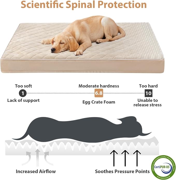 WNPETHOME Orthopedic Giant Dog Beds Large Sized Dog, Waterproof Extra Large - Image 3