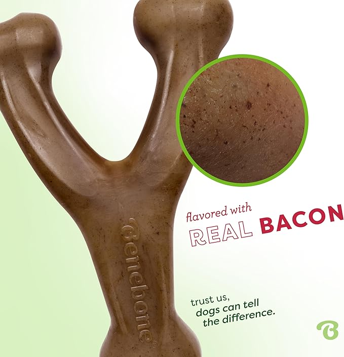 Benebone 2-Pack Wishbone Durable Dog Chew Toy - Image 2