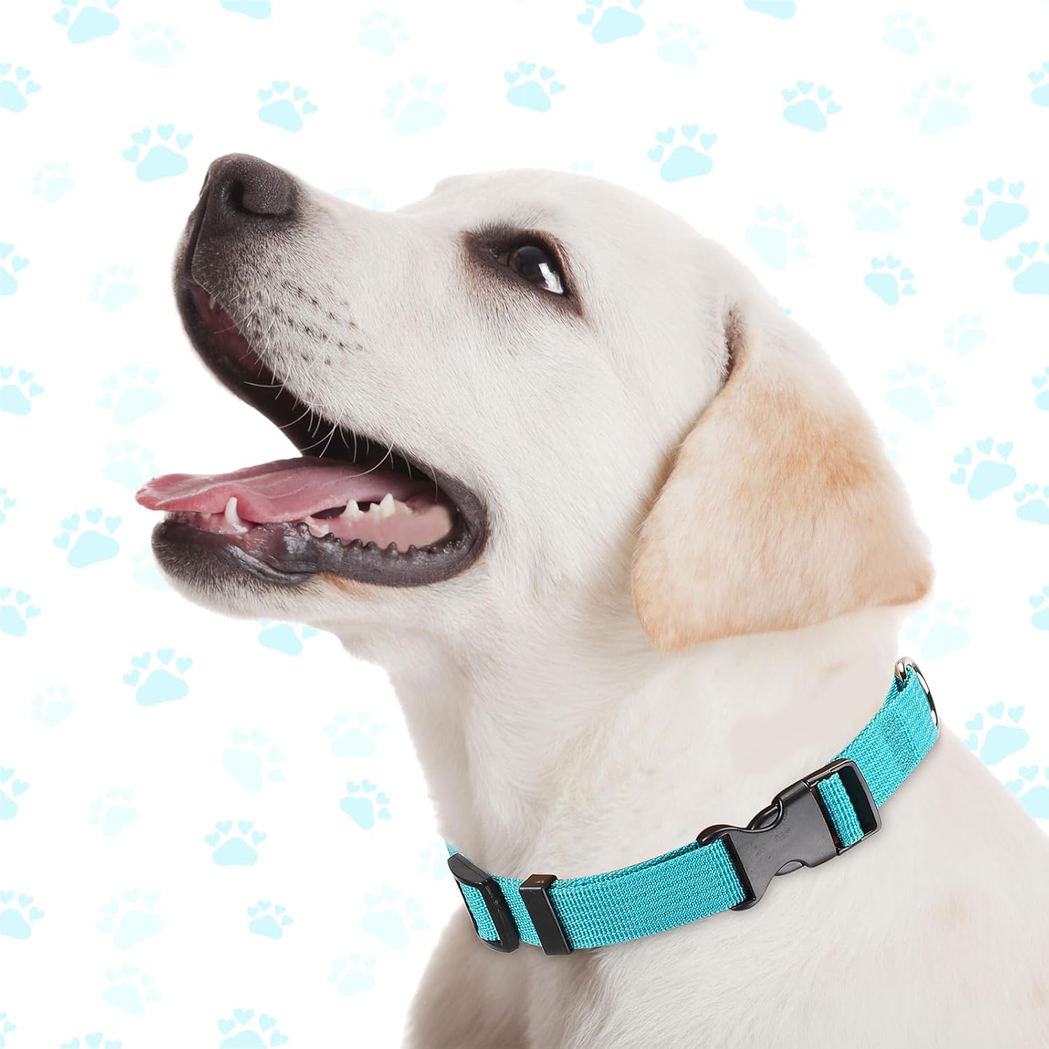 9 Pieces Adjustable Dog Collar for Animal, Soft Nylon Pets Puppy Collar with Quick Release Buckle Holder Bulk for Dogs Walking Running Training(Medium,Bright Colors)