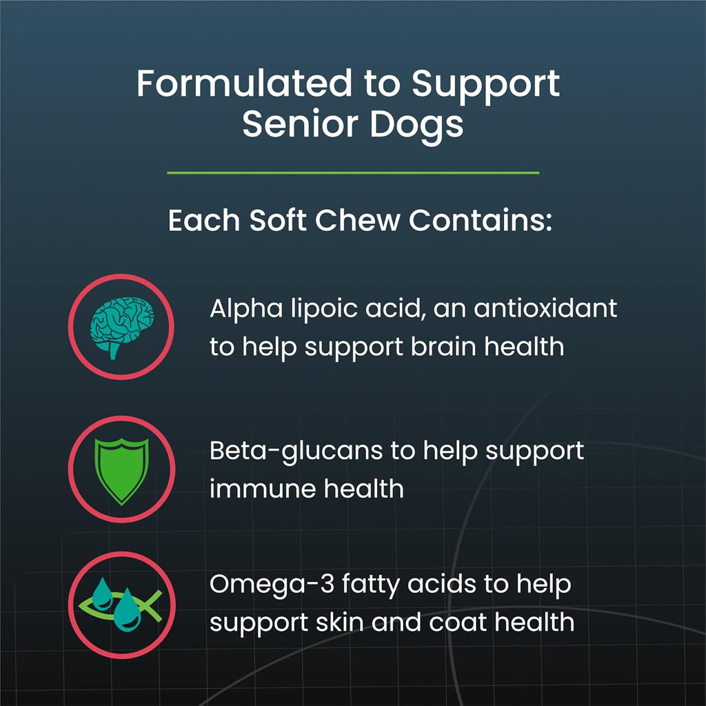 Nutramax Dasuquin Joint Health Supplement for Small to Medium Senior Dogs – for Immune Support, Skin & Coat Health, and Brain Health, 84 Soft Chews
