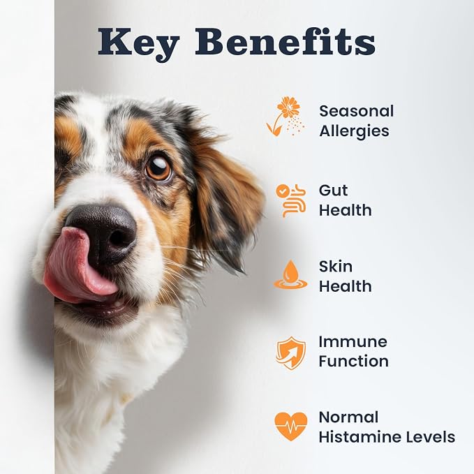 Dog Allergy Chews 200 Treats, Allergy & Itch Skin Relief Omega 3 Fish Oil - Image 3