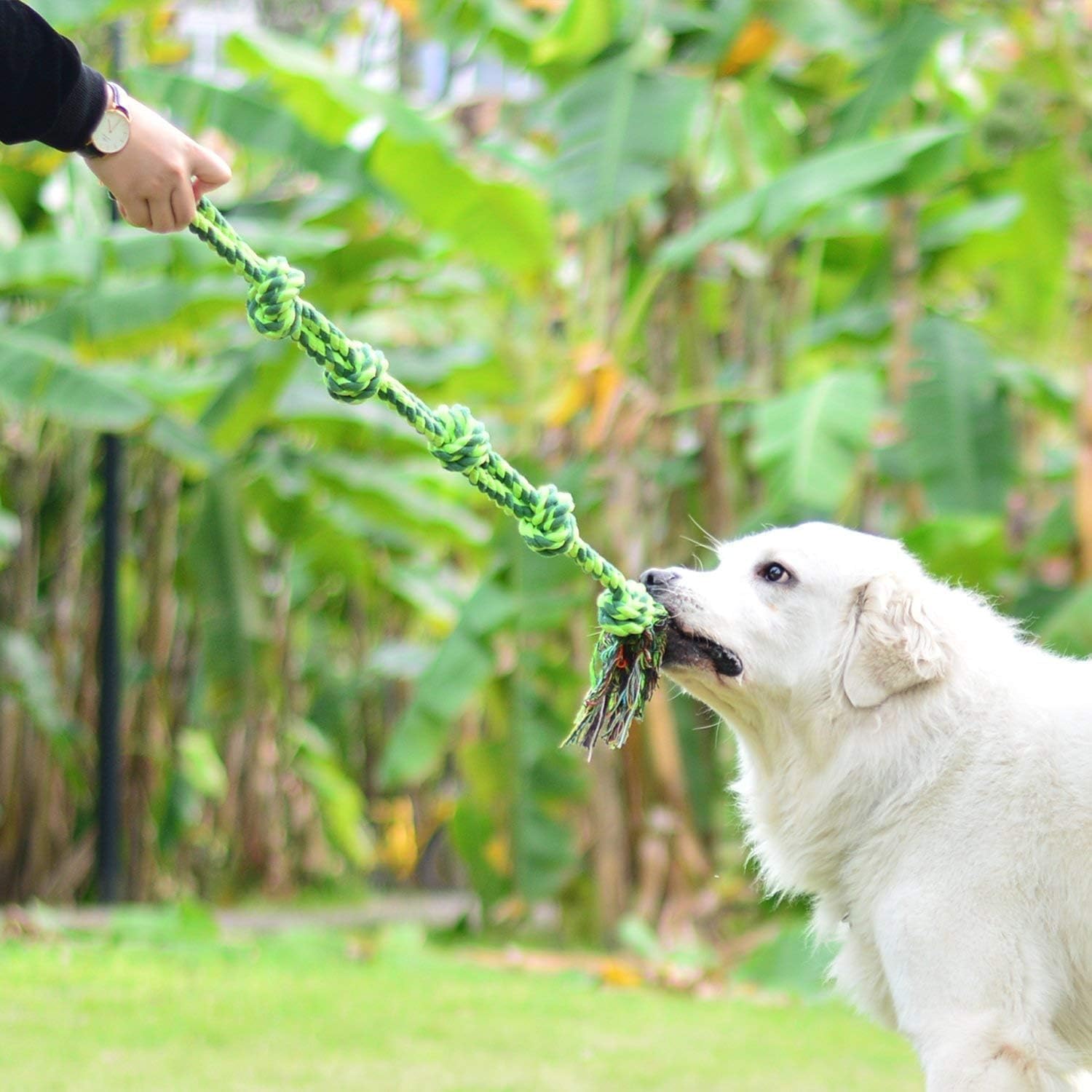 SHARLOVY Dog Toys for Large Dogs and Aggressive Chewers, Indestructible XL Durable Dog Toy,5-Knot Rope Tug,Heavy Duty Chew Sturdy Cotton Knot Rope Toy for Large Breed Dogs