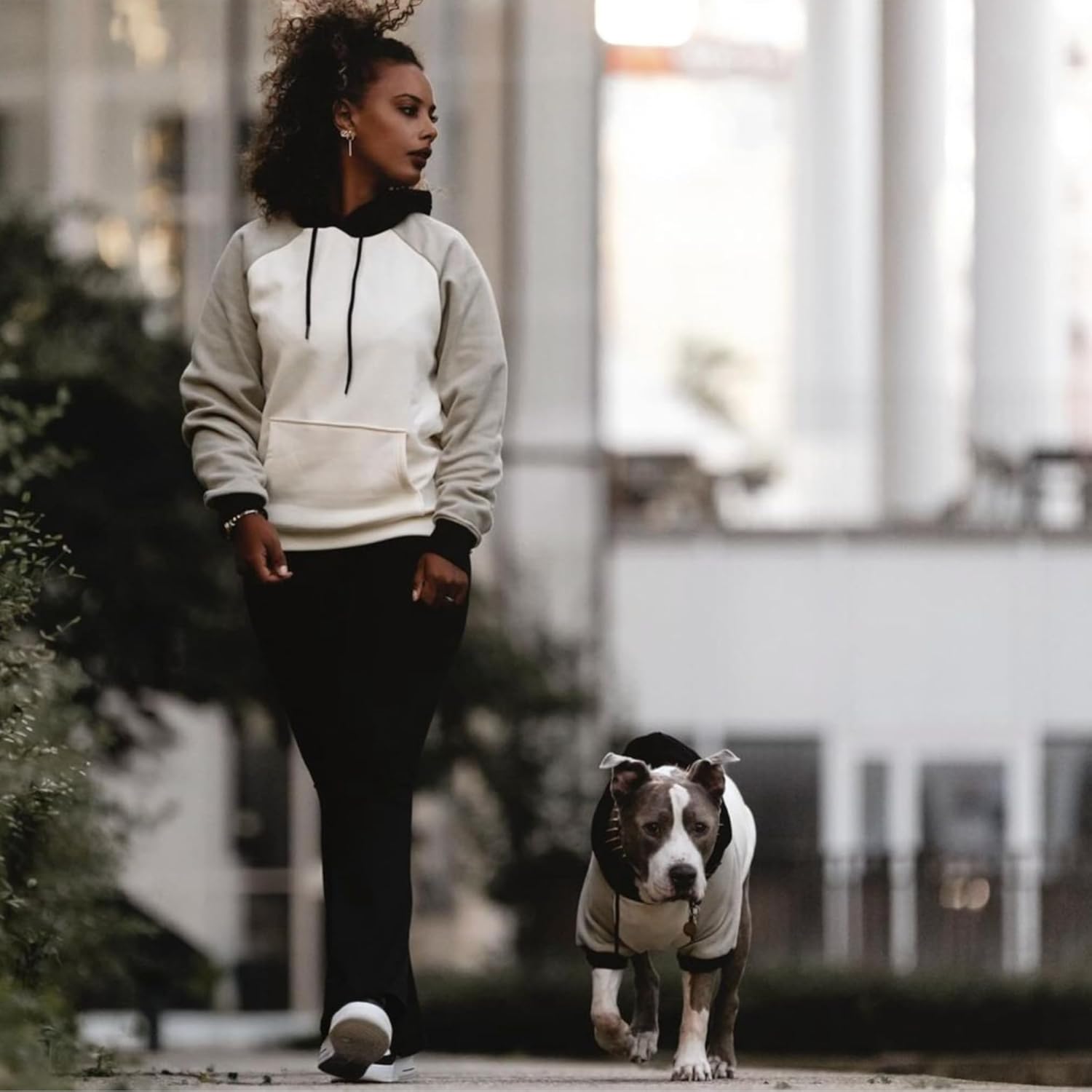 Spark Paws Dog Hoodie – Premium Dog Sweater for Small, Medium, and Large Dogs | Warm Outfits for French Bulldogs, Pitbull, Puppy, Winter Jacket Alternative - Olive Cream - XL