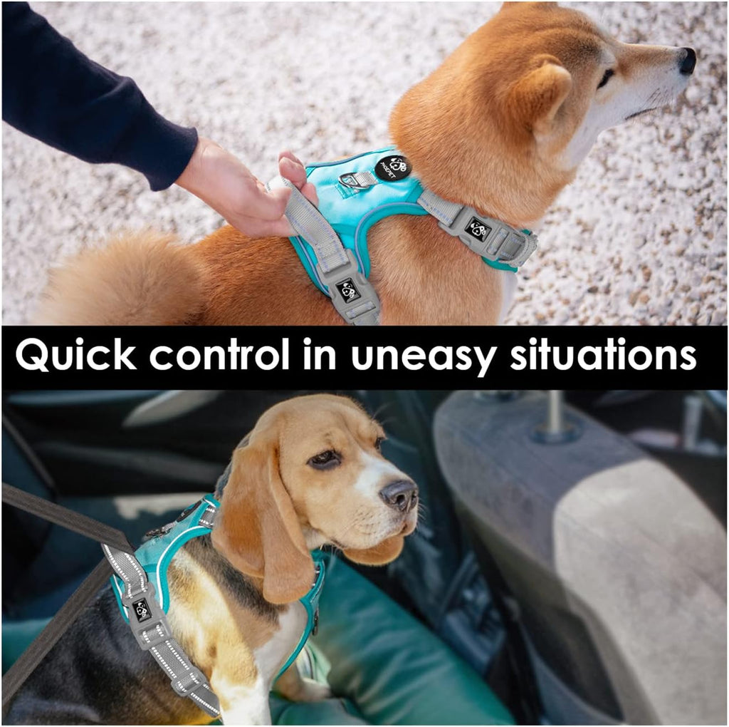 PHOEPET No Pull Dog Harness, Unique Colors Reflective Adjustable Dog Vest, with Soft Training Handle Metal Clips for Small Medium Large Dogs (Mint Green Base & Grey Straps,S)