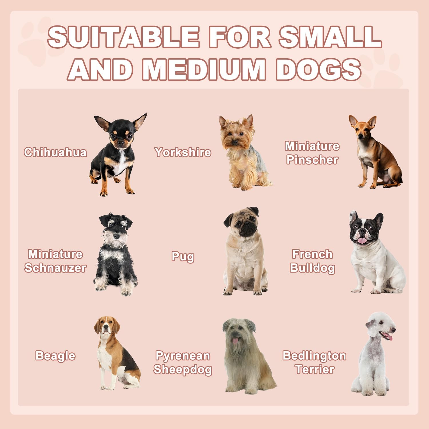 LEMBERI Outdoor Rattan Dog House with Canopy, Indoor Dog Bed for Small/Medium Dogs with Removable Cushion, Washable Cover, Dog Shelter for Patio, Deck, Yard, Pool, Gray