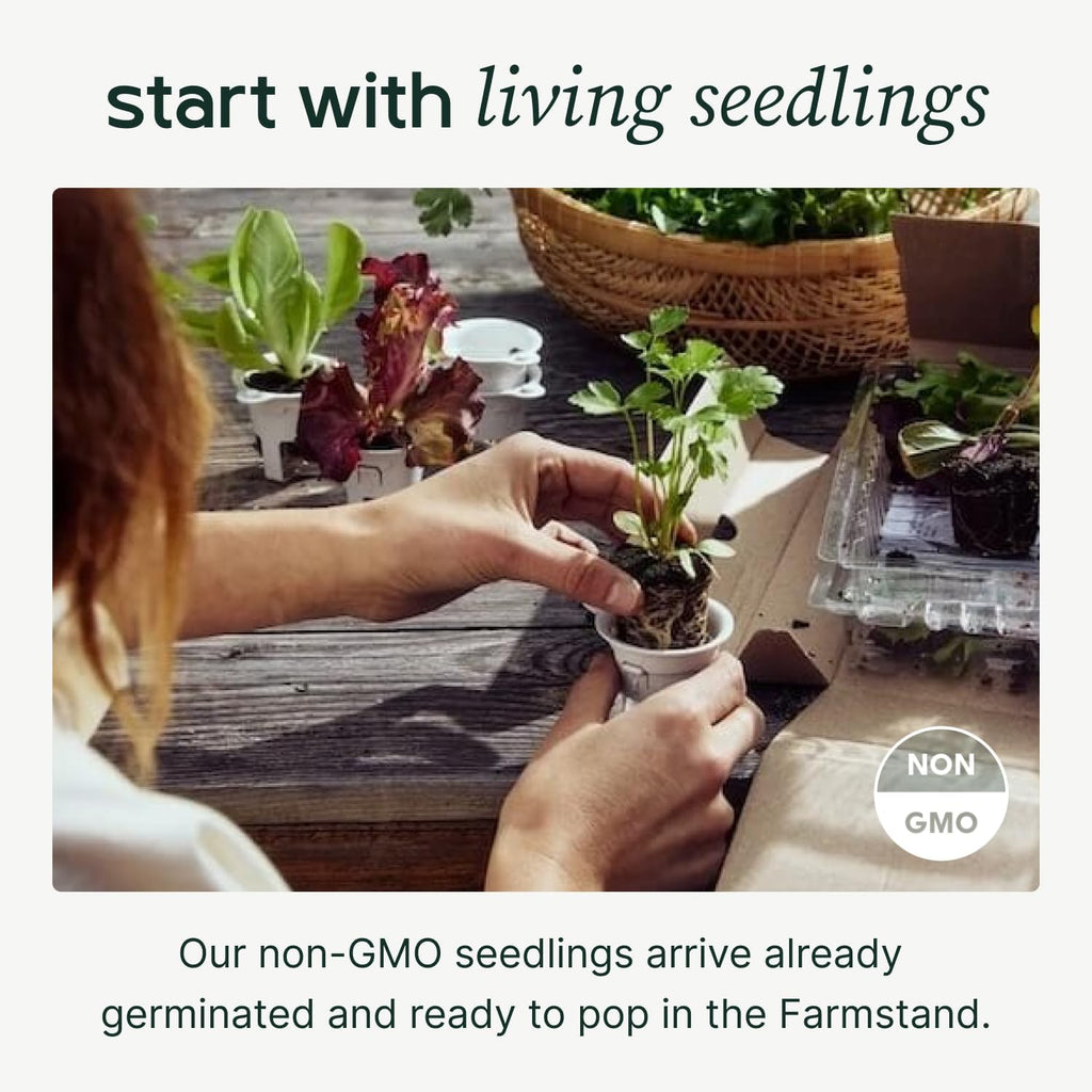 Farmstand Starter Kit + 12 Seedling Credits | Tiny Hydroponic Growing System Kit | Self-Watering Outdoor Vertical Garden Planter Tower | 3ft 8in | Made in USA
