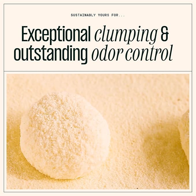 Sustainably Yours Natural Cat Litter, Small-Grain Formula, Exceptional Clumping - Image 4