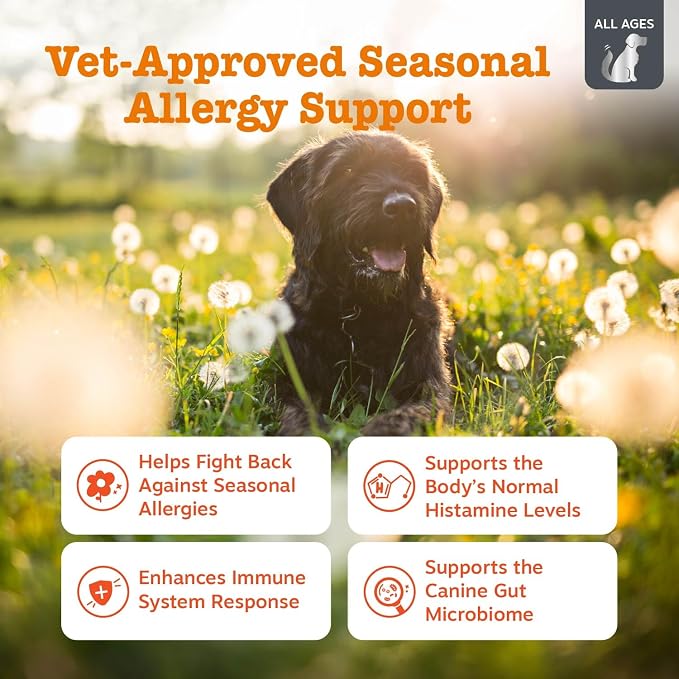 Zesty Paws Vet Strength Allergy Immune Bites - Image 2