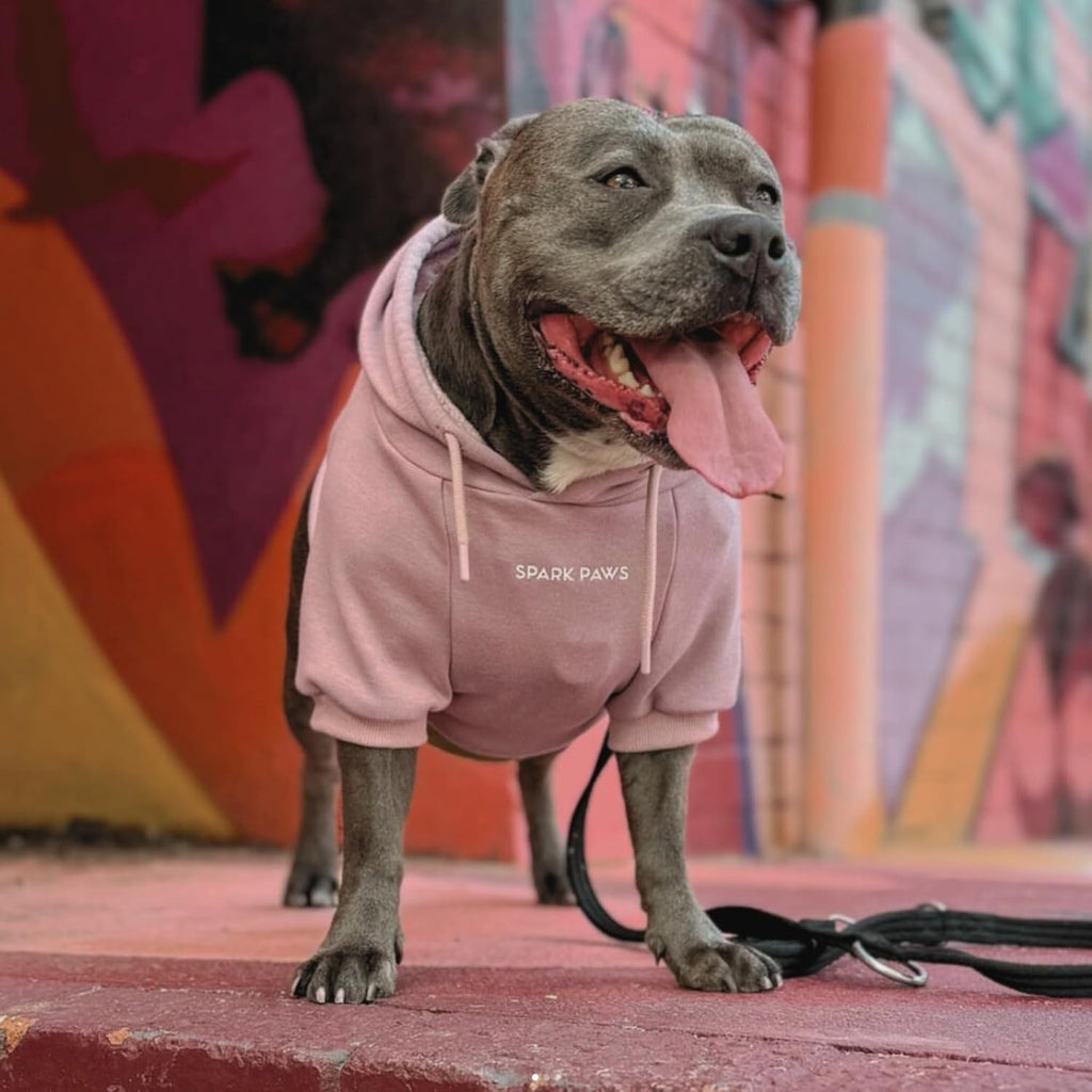 Spark Paws Dog Hoodie – Premium Dog Sweater for Small, Medium, and Large Dogs | Warm Outfits for French Bulldogs, Pitbull, Puppy, Winter Jacket Alternative - Dusty Pink - M