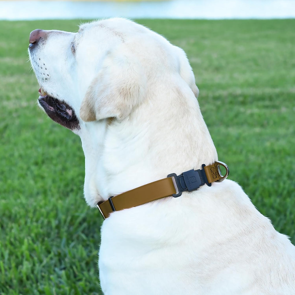 Dogline Biothane Waterproof Dog Collar with Herm Sprenger Stainless Steel Quick Release Buckle – Heavy Duty Tactical Durable Collar for Dogs – Comfortable and Safe Pet Collar, W 1" L 15-25", Brown
