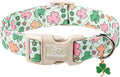 St Patricks Day Dog Collar for Puppy Small Dogs by Babolepet