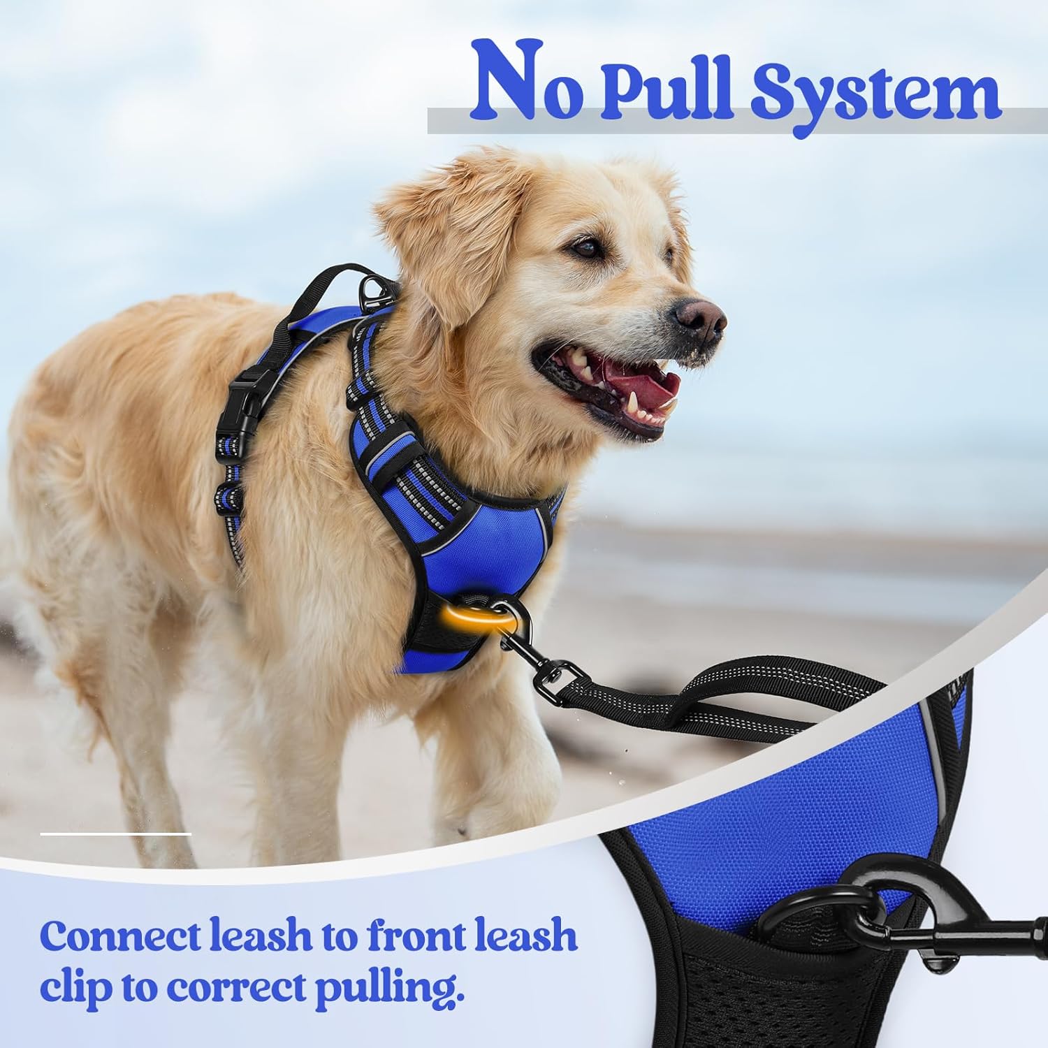 rabbitgoo Dog Harness No Pull with 2 Leash Clips, Adjustable Soft Padded, Reflective Oxford No Choke Pet Vest with Easy Control Handle for Medium Sized Dogs, Dazzling Blue, M