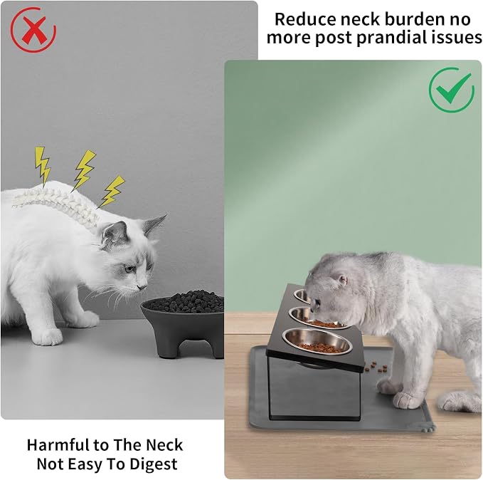 Upgraded Elevated Cat Bowls - Image 2