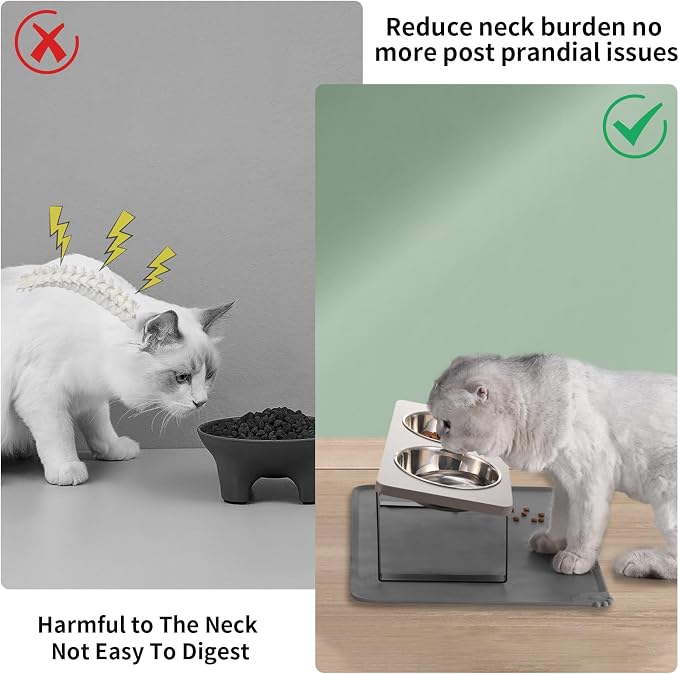 Upgraded Elevated Cat Bowls - Image 2