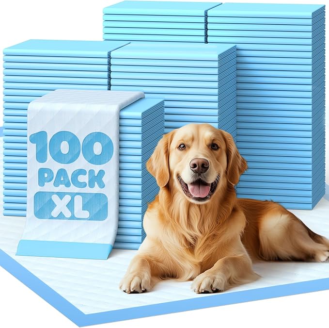 100-Pack Extra Large Pee Pads by Powools