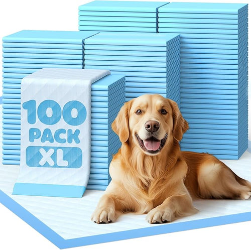 100-Pack Extra Large Pee Pads by Powools