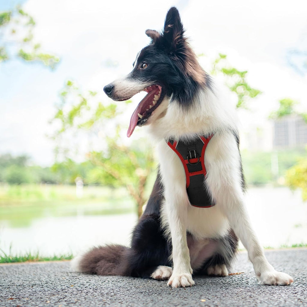 PHOEPET 2019 Upgraded No Pull Dog Harness, Reflective Adjustable Vest, with a Training Handle + 2 Metal Leash Hooks+ 3 Snap Buckles +4 Slide Buckles(L, Black)