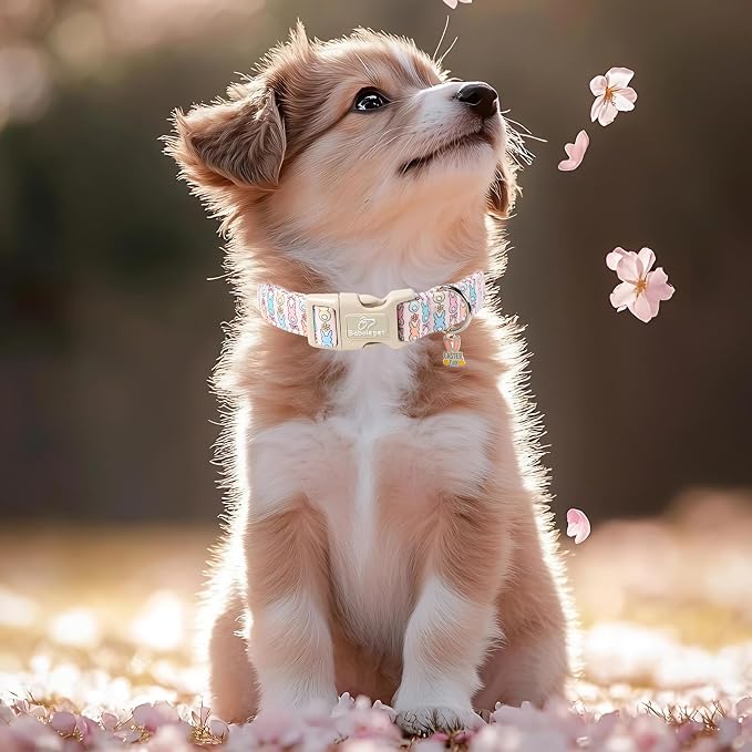 Easter Dog Collar for Giant Large Dogs - Image 7