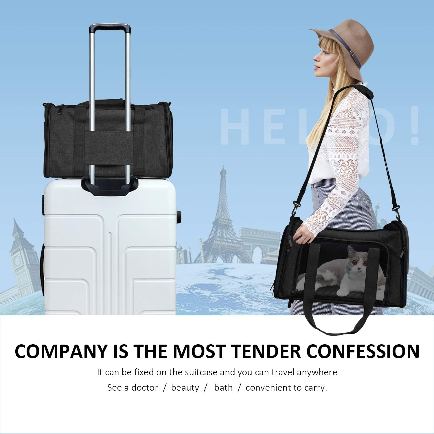 Cat Carriers Dog Carrier Pet Carrier for Small / Medium Cats Dogs Puppies (Up To 15lbs), TSA Airline Approved Small Dog Carrier Soft Sided, Collapsible Waterproof Travel Puppy Carrier -Black