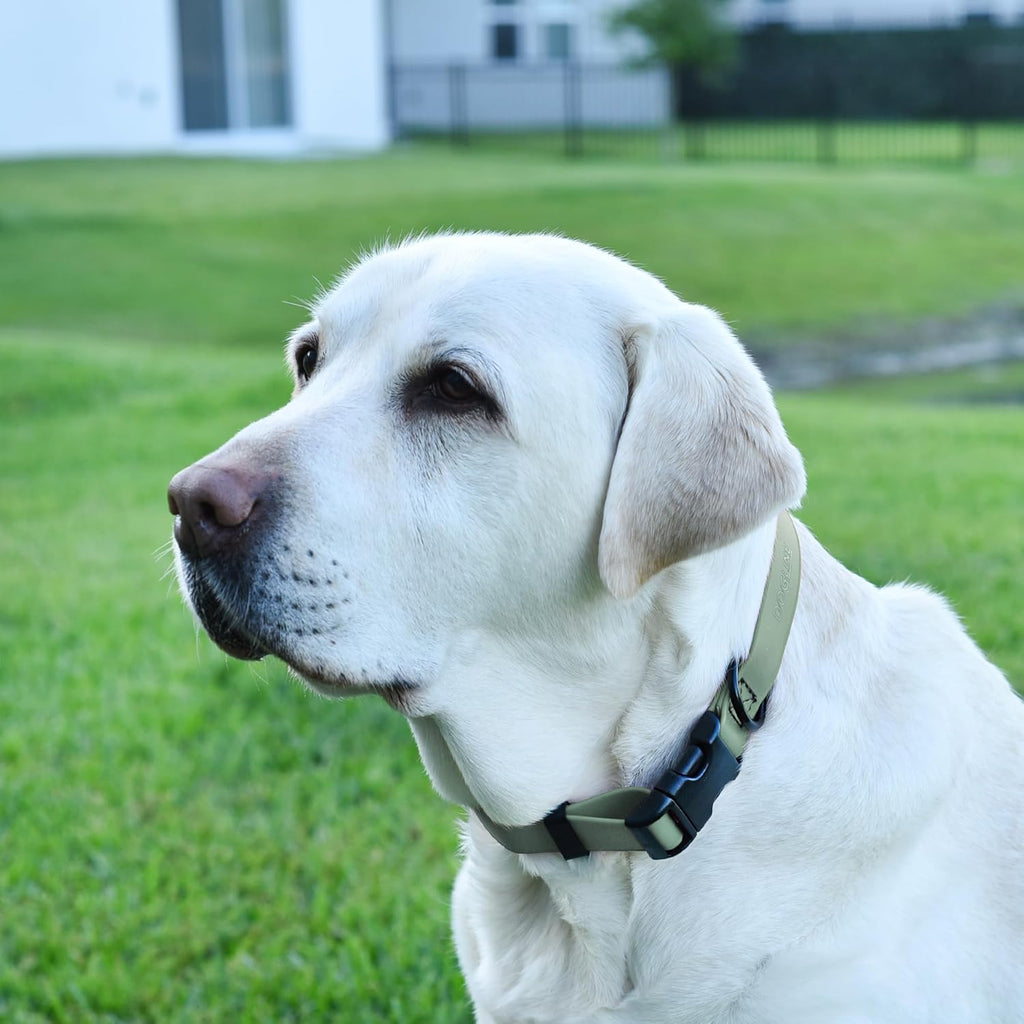 Dogline Biothane Waterproof Dog Collar with Quick Release Buckle Strong Coated Nylon Webbing with Odor- Proof for Easy Care Easy to Clean Fits Small Medium Large Dogs, Sage Green 5/8" W 9-14" L