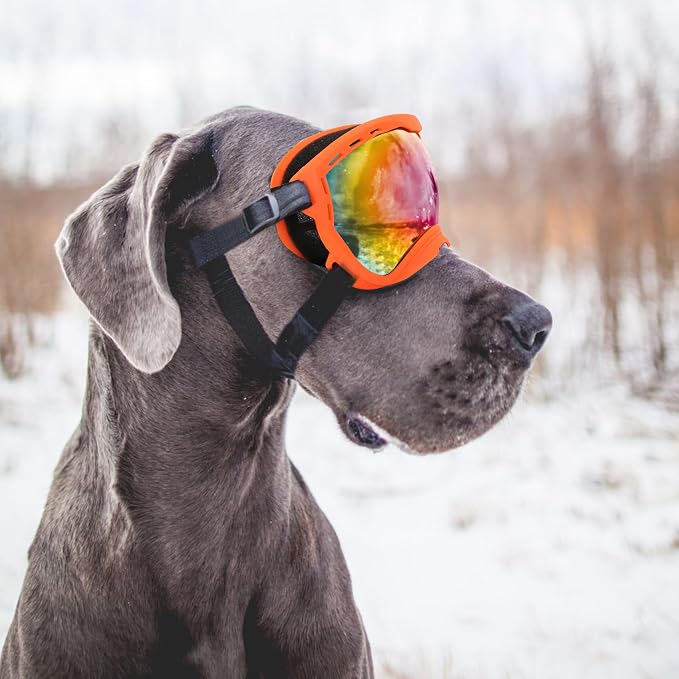 Dog Goggles for Large Dogs, UV Wind Dust Fog Protection, Soft Frame Adjustable - Image 7