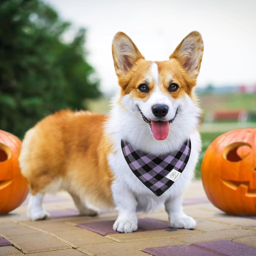 E-Clover Halloween Dog Bandanas & Matching Scrunchie-Plaid Dog Bandana Girl Boy Pet Scarf Kerchief for Medium Large Dogs Puppy Owner Mom Gifts Purple