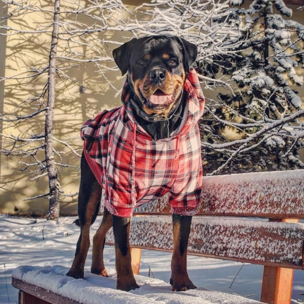 Spark Paws Dog Hoodie – Premium Dog Sweater for Small, Medium, and Large Dogs | Warm Outfits for French Bulldogs, Pitbull, Puppy, Winter Jacket Alternative - Red Plaid, L