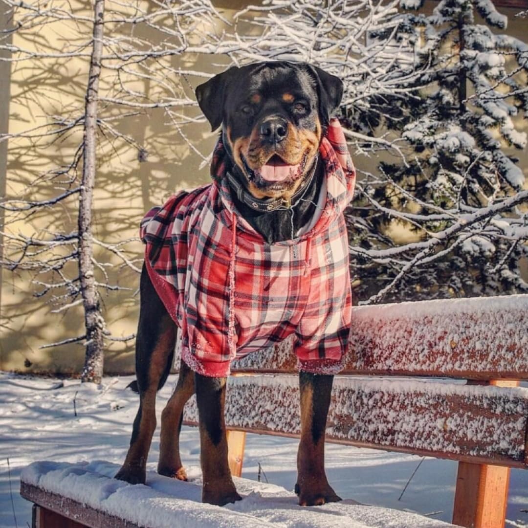 Spark Paws Dog Hoodie – Premium Dog Sweater for Small, Medium, and Large Dogs | Warm Outfits for French Bulldogs, Pitbull, Puppy, Winter Jacket Alternative - Red Plaid, 2XL