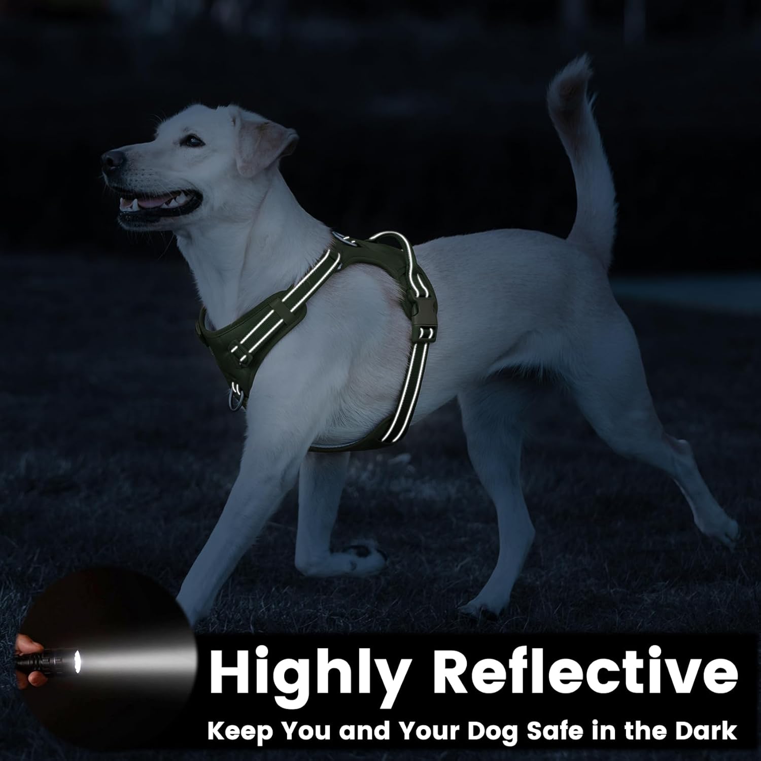 No Pull Dog Harness, Reflective Puppy Vest for Small Medium Large Sized Dog (Misty Green,L)