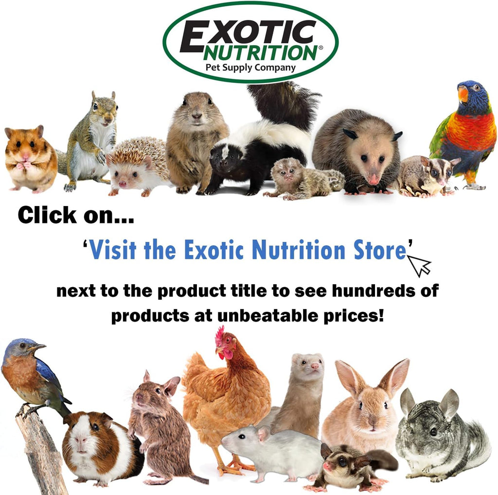 Canned Wax Worms (1.2 oz.) - Healthy High Protein Insect Treat - Hedgehogs, Sugar Gliders, Reptiles, Wild Birds, Chickens, Lizards, Bearded Dragons, Skunks, Opossums, Fish, Amphibians, Turtles