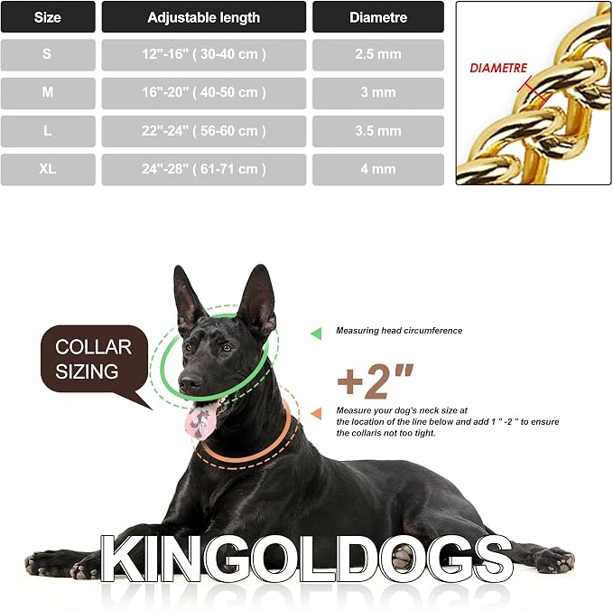 Stainless Steel 18K Gold Dog Collar - Image 6
