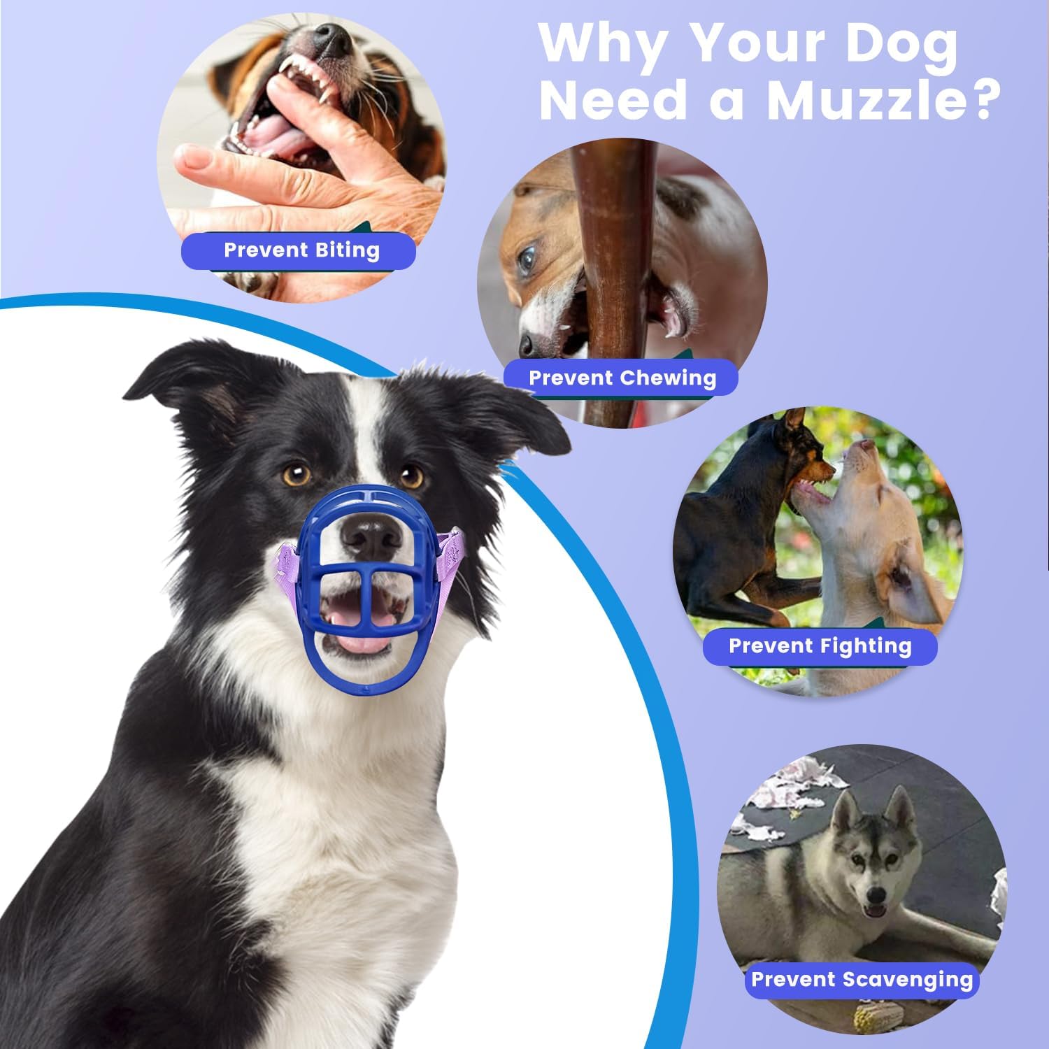 Dog Muzzle, OKKIC Basket Muzzle Anti Biting Chewing, Sturdy Lightweight Muzzle Allows Panting Drinking,Muzzle for Small Medium Large Dogs, Suitable for Grooming Trimming Training (Blue, Size3)