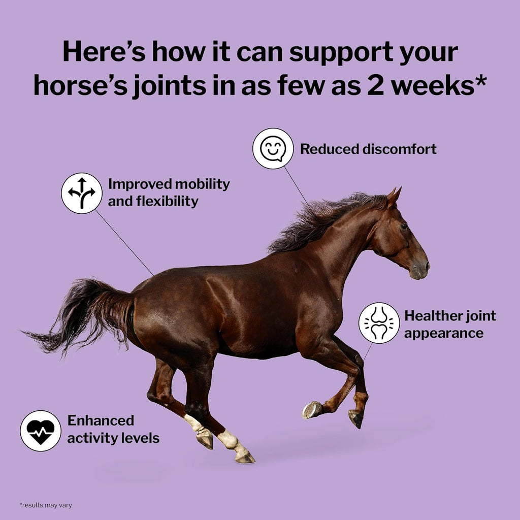 Formula 707 Joint 6in1 Equine Supplement 5 lb Bag - Support for Joint Integrity and Inflammatory Response in Horses - Green-Lipped Mussel, MSM, Glucosamine, Chondroitin & Collagen
