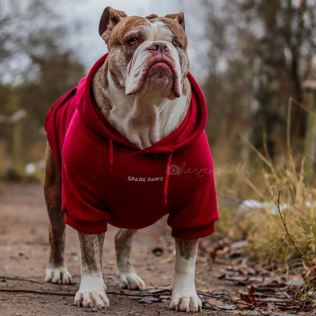 Spark Paws Dog Hoodie – Premium Dog Sweater for Small, Medium, and Large Dogs | Warm Outfits for French Bulldogs, Pitbull, Puppy, Winter Jacket Alternative - Burgundy - 3XL