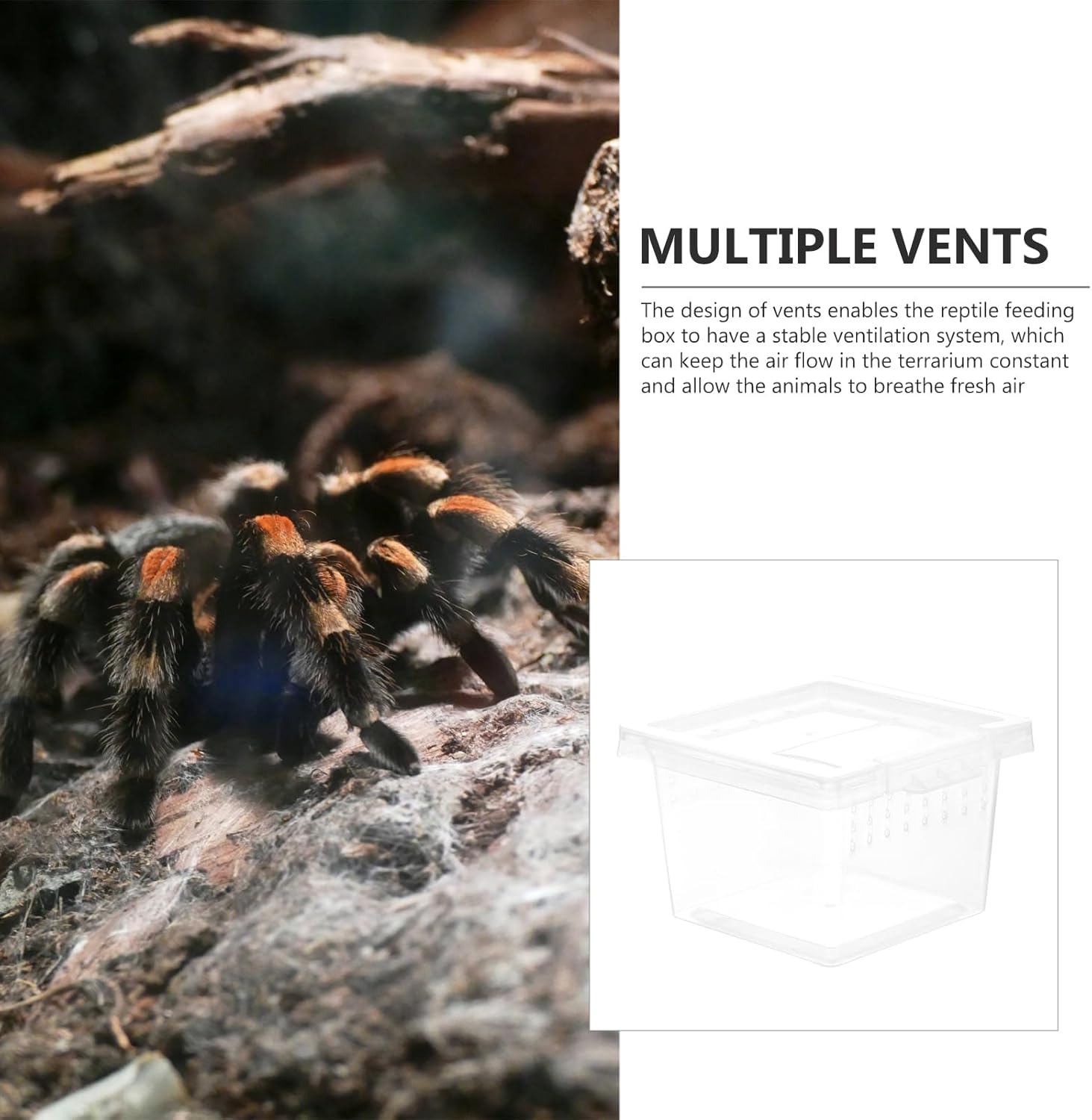 FRCOLOR Box Rearing Box Turtle Transport Container Frog Enclosure Mini Critter Keeper Transparent Animal Habitat Cage Hatching Container Hermit Crab Tank Plastic Glass Turtle Tank