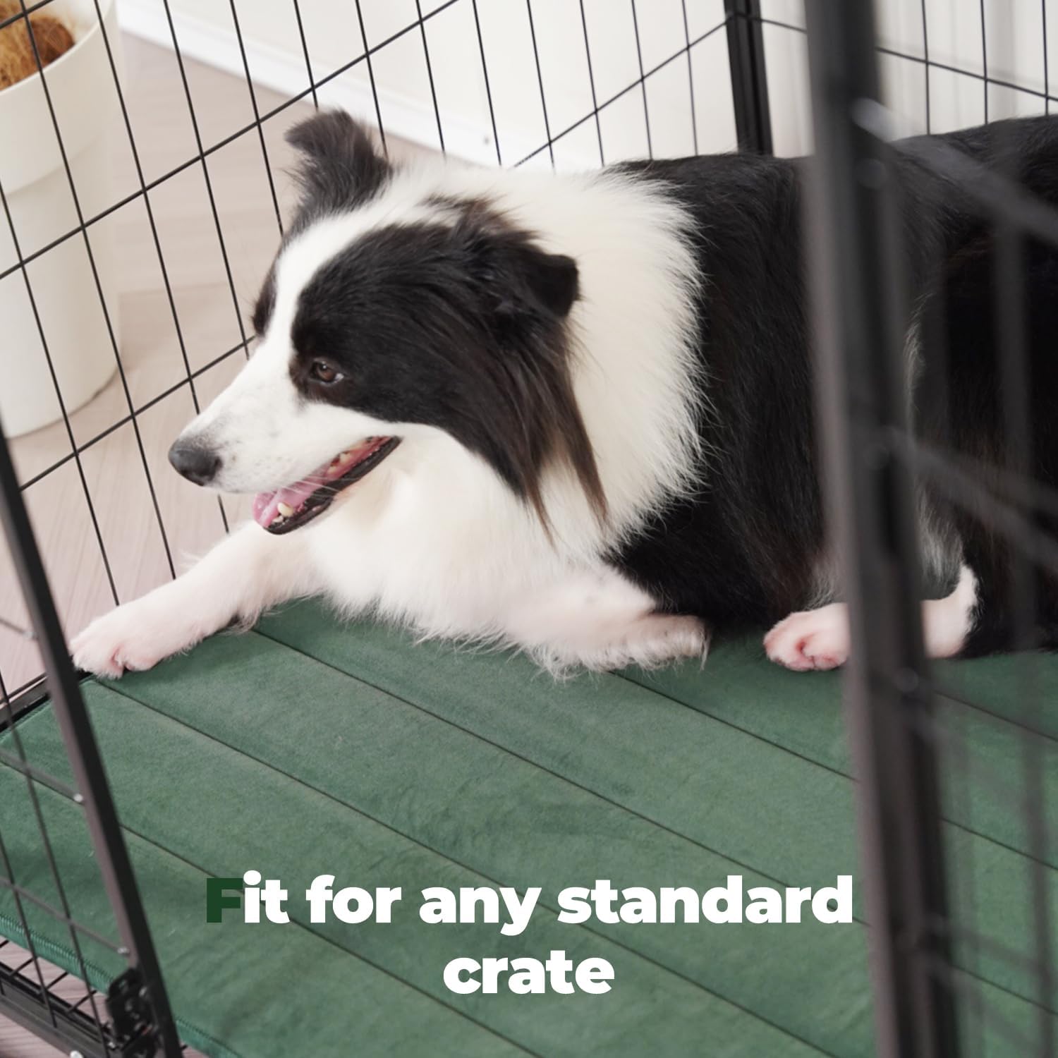 BALANCE Dog Crate Pad, Dog Foam Crate Mat Kennel Pad, Washable Water-Resistant Pet Bed Flat Dogs Cage Mat for Medium Dogs