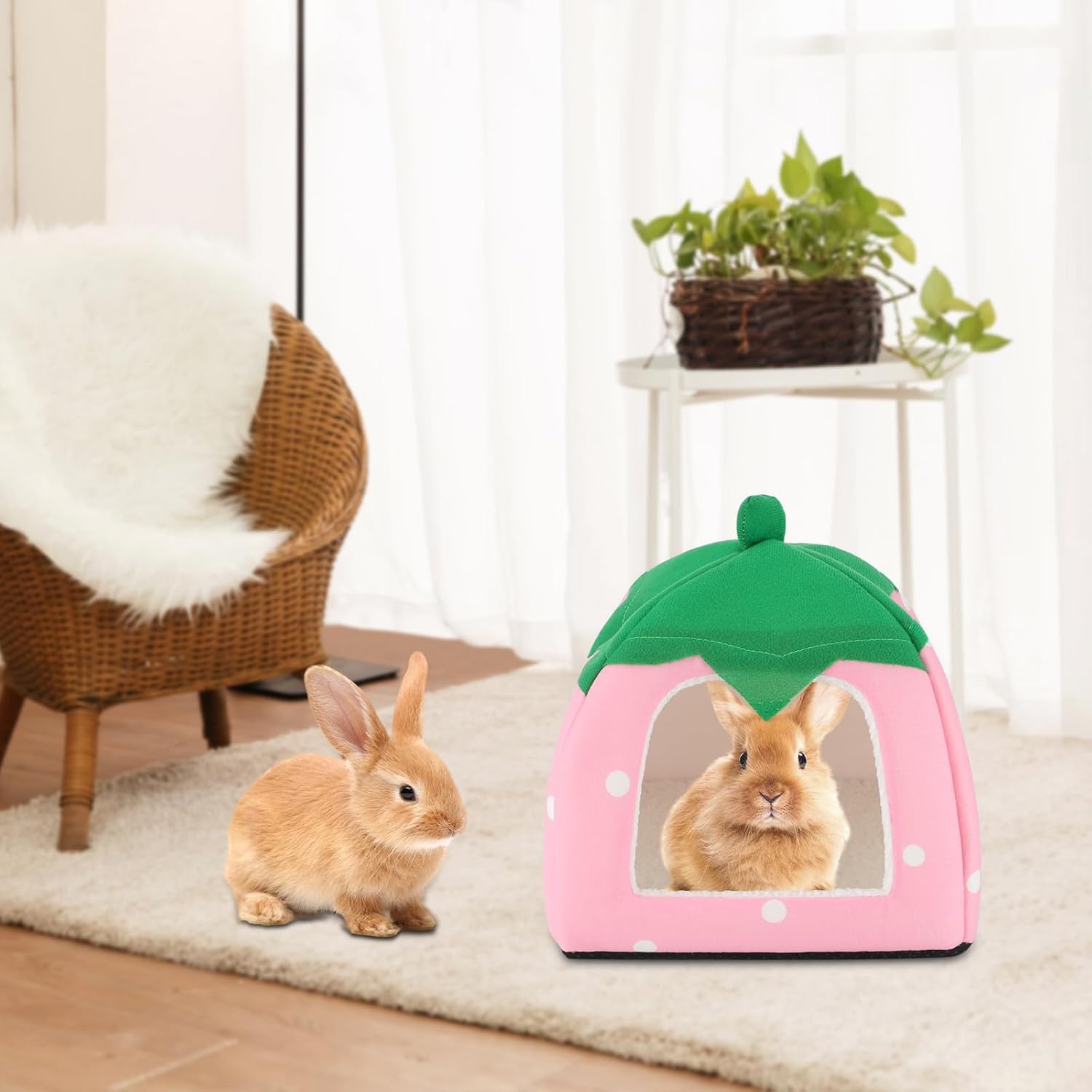 BWOGUE Guinea Pig House Bed Cozy Hamster Cave Large Hideout for Dwarf Rabbits Hedgehog Bearded Dragon Winter Nest Hamster Cage Accessories