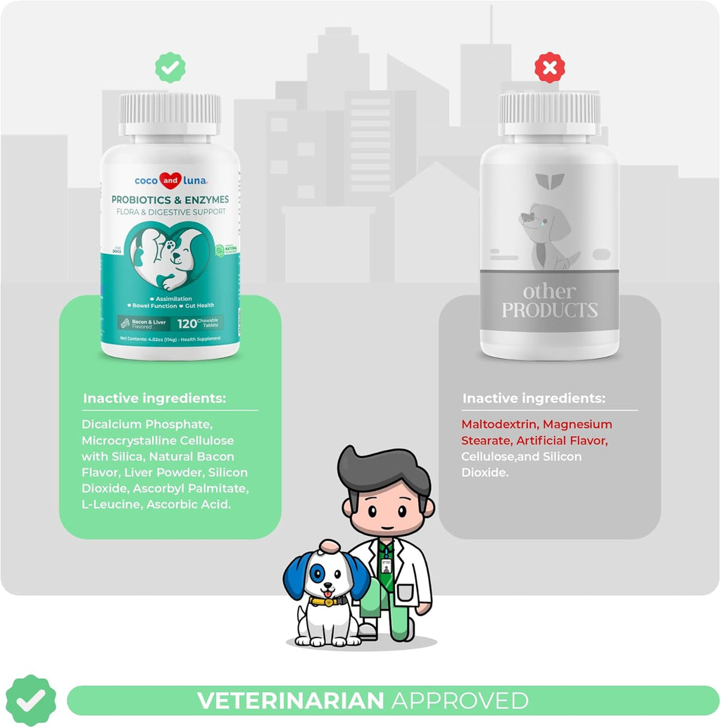 Probiotics for Dogs - 120 Chewable Tablets - Diarrhea & Gas Support - with Honey Pumpkin and Prebiotics for Dog Allergies, Bad Breath & Constipation Support