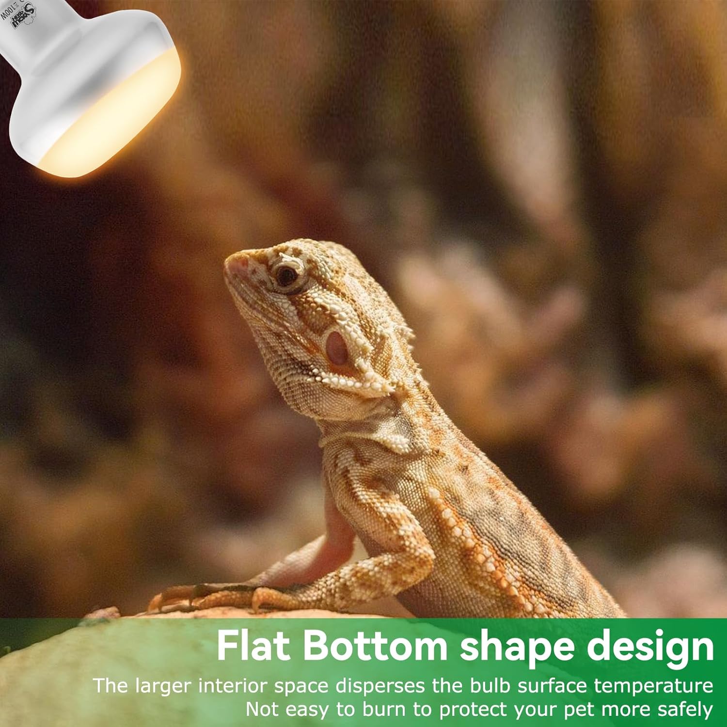 LUCKY HERP Intense Heat Lamp Bulbs for Reptiles 100W 2 Pack, UVA Daylight Reptile Heat Lamp, Reptile Basking Heat Light Bulb for Amphibian, Tortoise, Bearded Dragon, Lizard, Turtle, Snake Heating Use