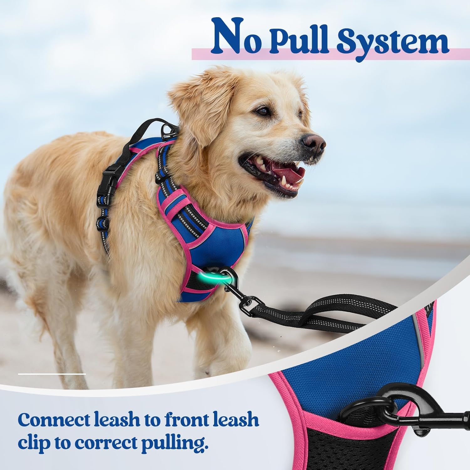 rabbitgoo Dog Harness No Pull with 2 Leash Clips, Adjustable Soft Padded, Reflective Oxford No Choke Pet Vest with Easy Control Handle for Large Dogs, Blue & Hot Pink, M