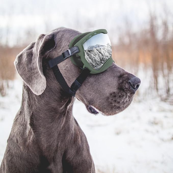 Dog Goggles for Large Dogs, UV Wind Dust Fog Protection, Soft Frame Adjustable - Image 7