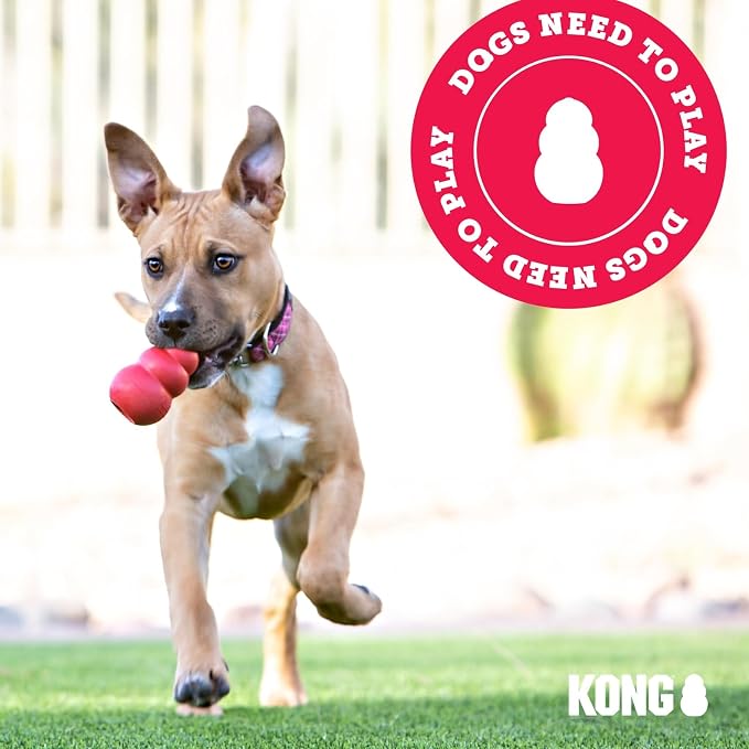 KONG Puppy - Natural Teething Rubber Chew Toy - Image 8
