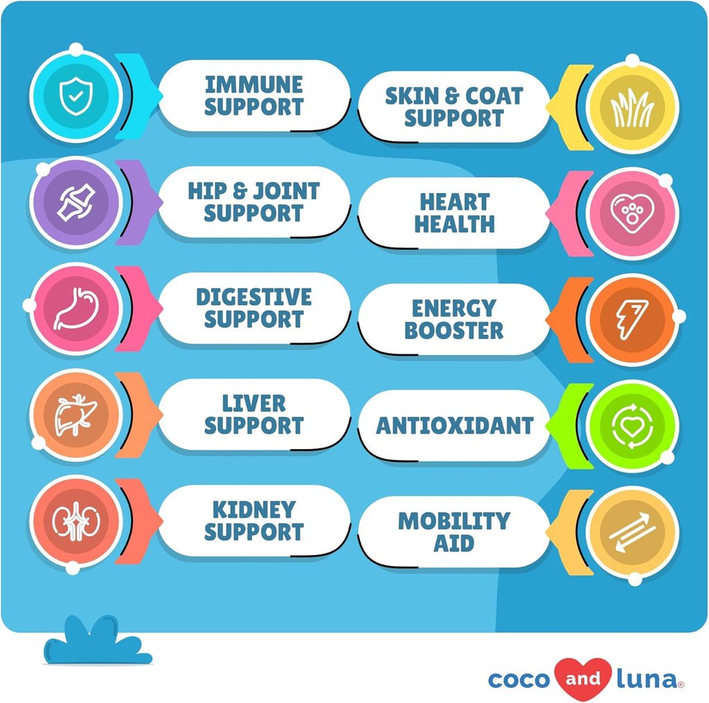 10 in 1 Multivitamin for Dogs - 120 Chewable Tablets with Glucosamine and Chondroitin - Fish Oil & Vitamins with Coq10 for Skin & Heart Health, Gut & Immune Support