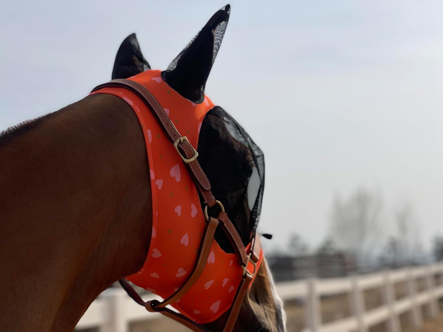 Horse Fly Mask Super Comfort Horse Elasticity Fly Mask with Ears We Only Make Products That Horses Like… (Orange, M)