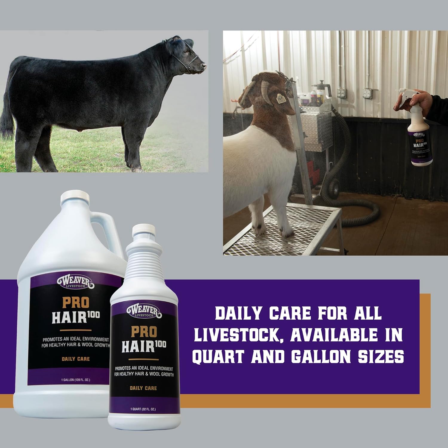 Weaver Leather Livestock Winner's Brand Pro Hair100 Shampoo, 1 Gallon
