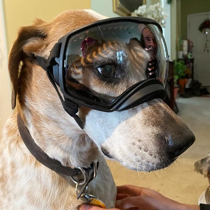 Namsan Clear Dog Goggles for Large Dogs, Wide Eyecup & Soft Frame, Anti-UV - Image 7